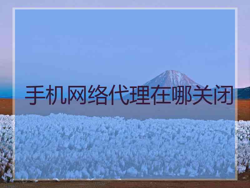 手机网络代理在哪关闭