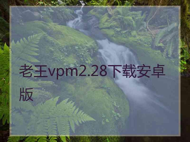 老王vpm2.28下载安卓版