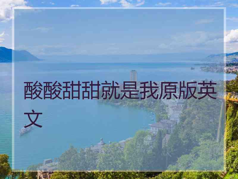 酸酸甜甜就是我原版英文