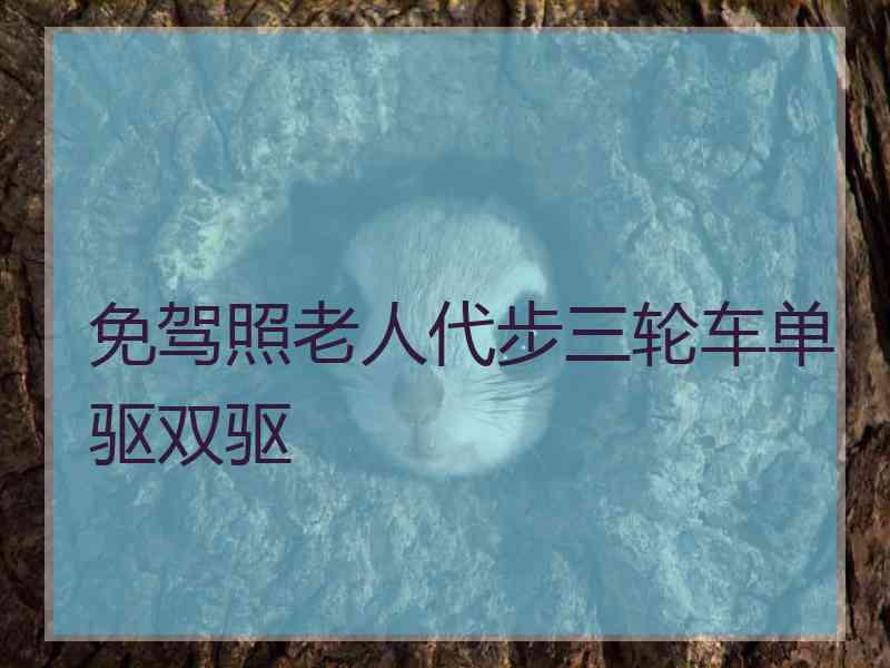 免驾照老人代步三轮车单驱双驱