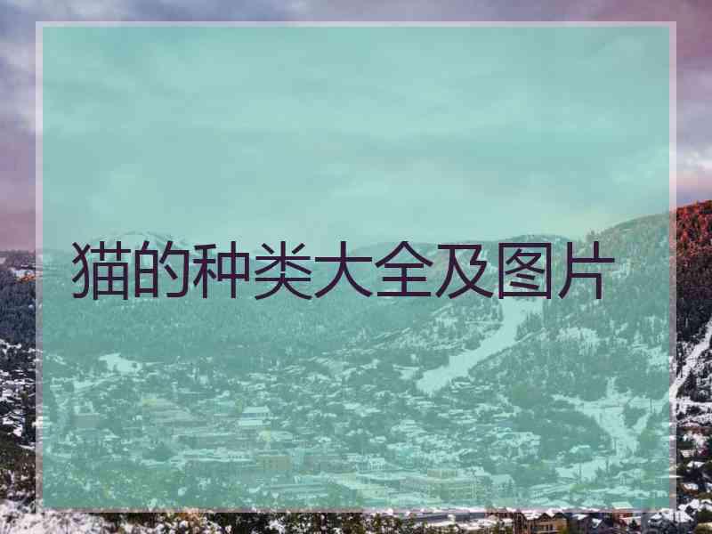 猫的种类大全及图片