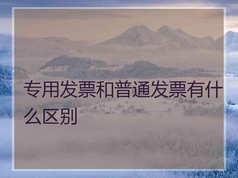 专用发票和普通发票有什么区别