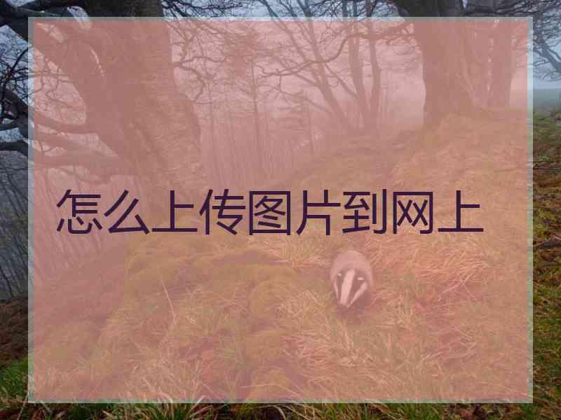 怎么上传图片到网上