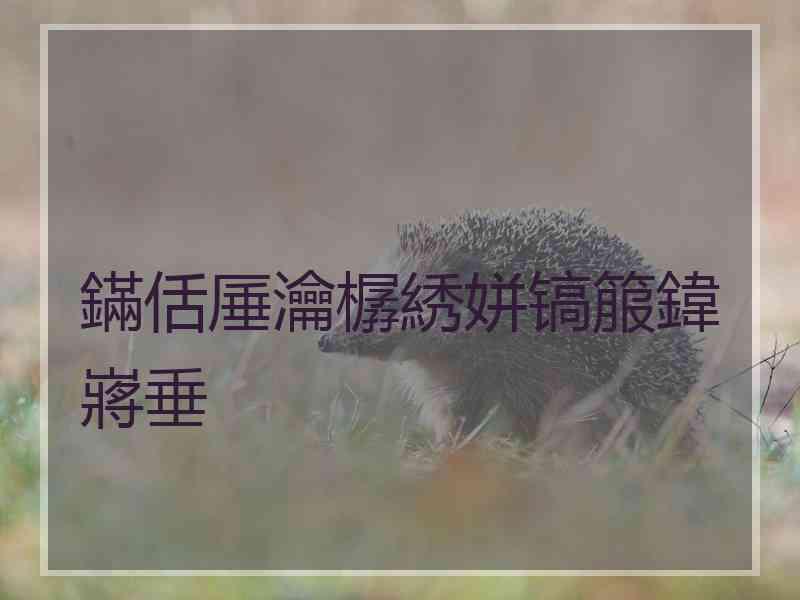 鏋佸厜瀹樼綉姘镐箙鍏嶈垂