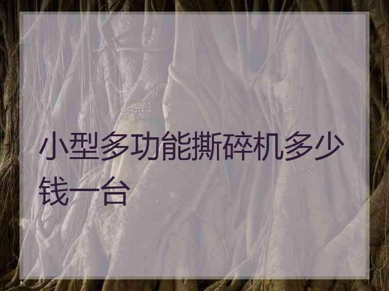 小型多功能撕碎机多少钱一台