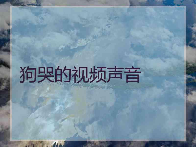 狗哭的视频声音