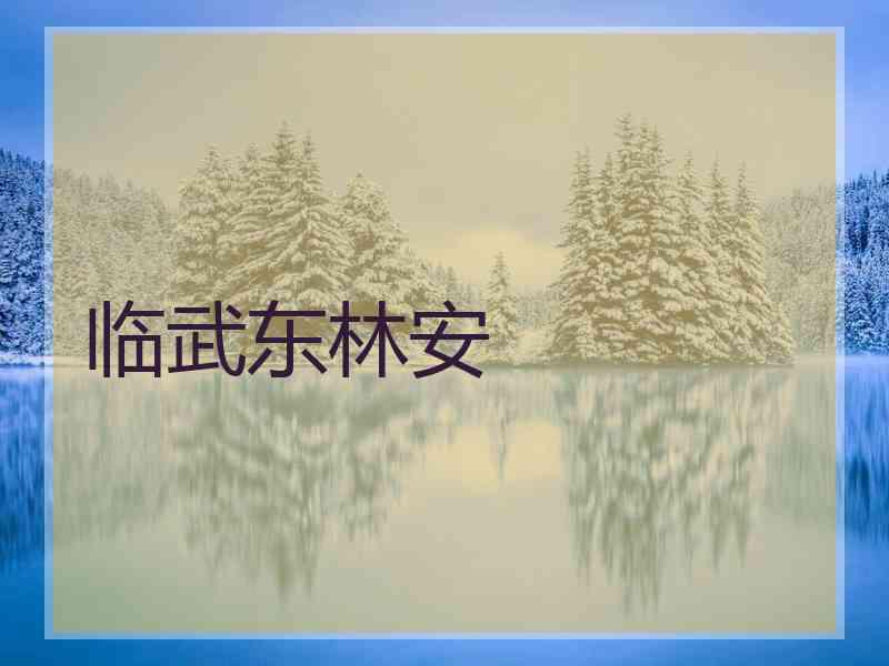 临武东林安