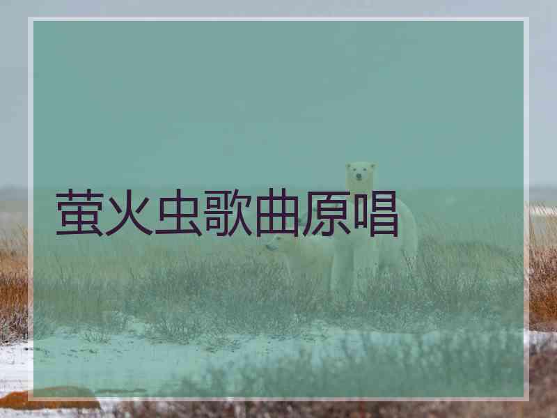 萤火虫歌曲原唱