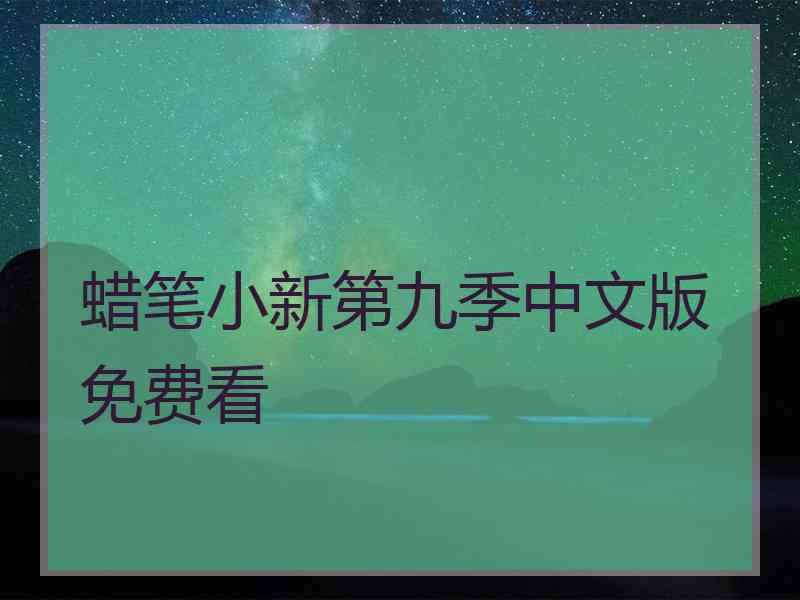蜡笔小新第九季中文版免费看