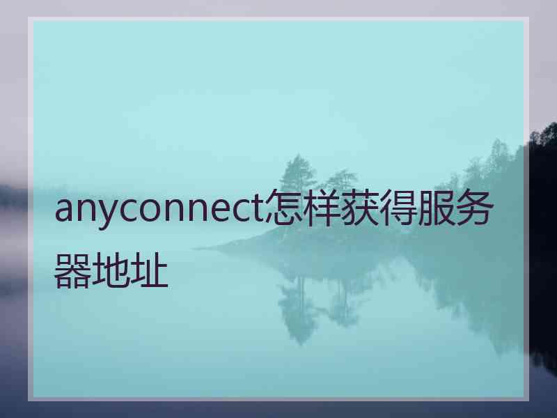 anyconnect怎样获得服务器地址