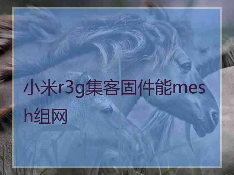 小米r3g集客固件能mesh组网