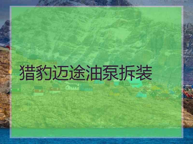 猎豹迈途油泵拆装
