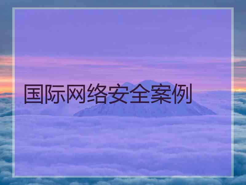 国际网络安全案例