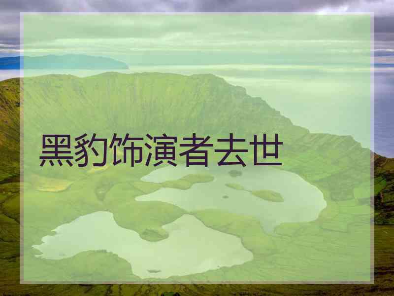 黑豹饰演者去世