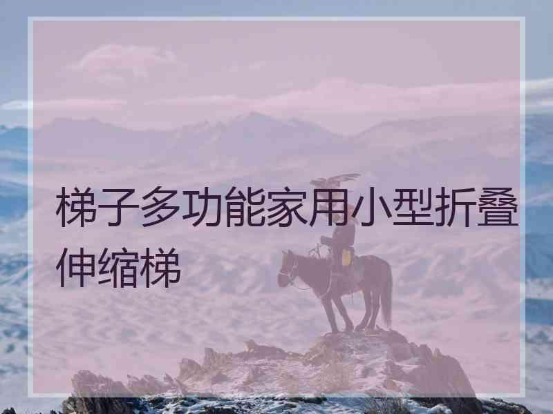 梯子多功能家用小型折叠伸缩梯