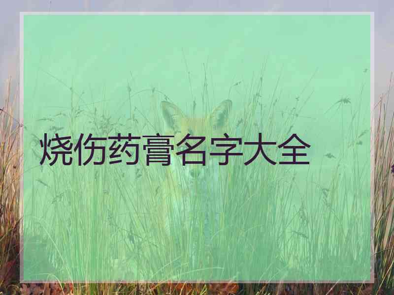 烧伤药膏名字大全