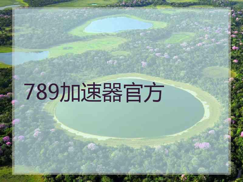 789加速器官方