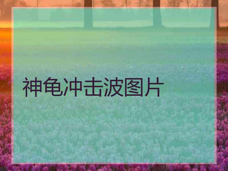 神龟冲击波图片