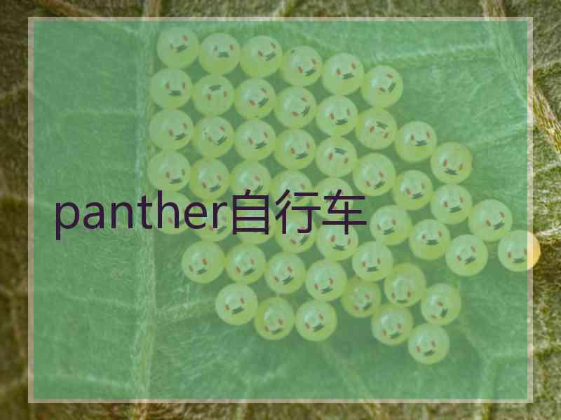 panther自行车