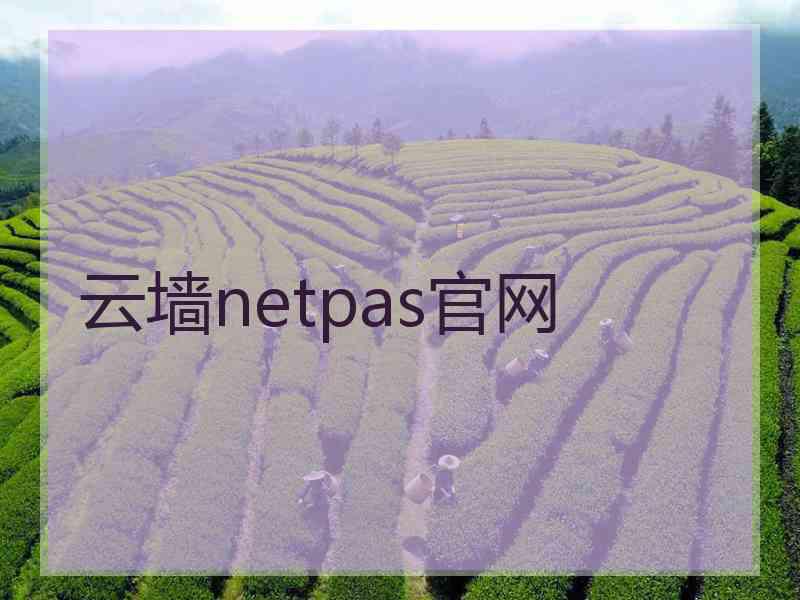 云墙netpas官网