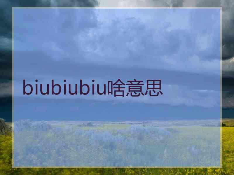 biubiubiu啥意思