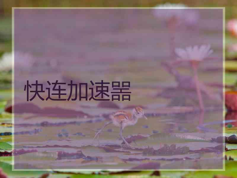 快连加速噐