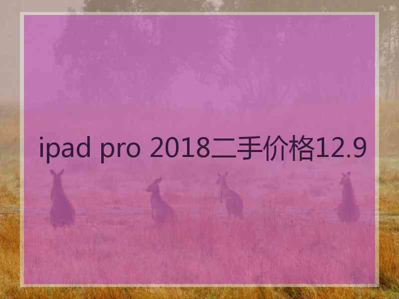 ipad pro 2018二手价格12.9