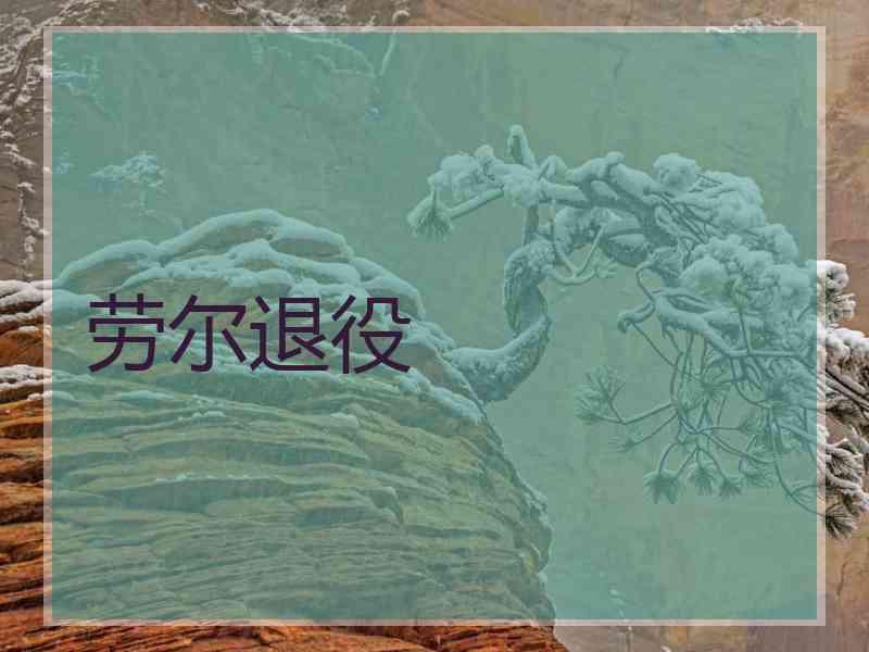 劳尔退役