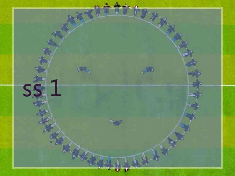 ss 1