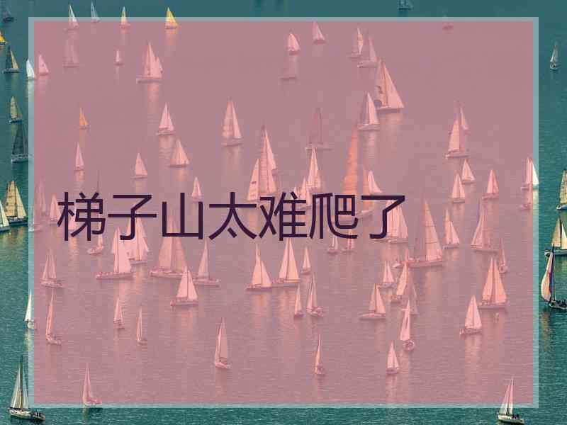 梯子山太难爬了