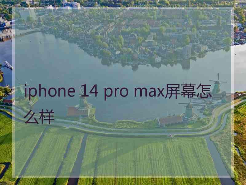iphone 14 pro max屏幕怎么样