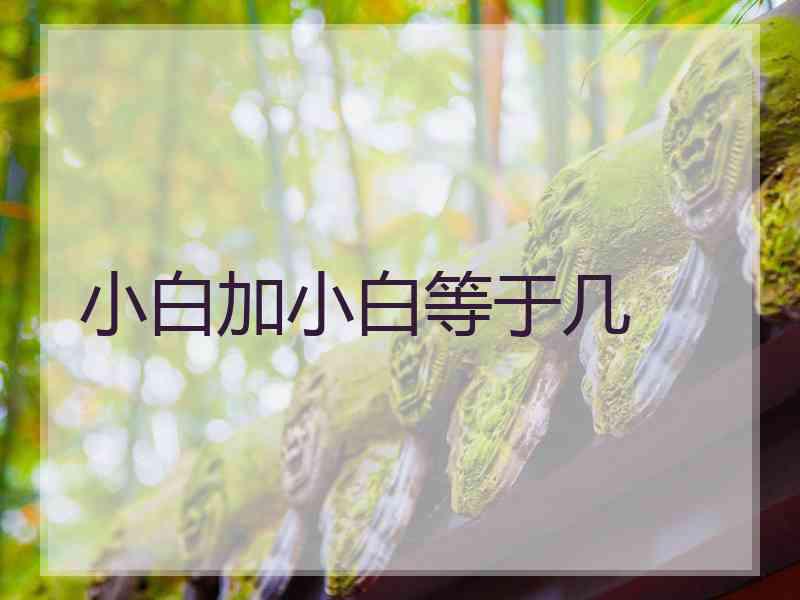 小白加小白等于几