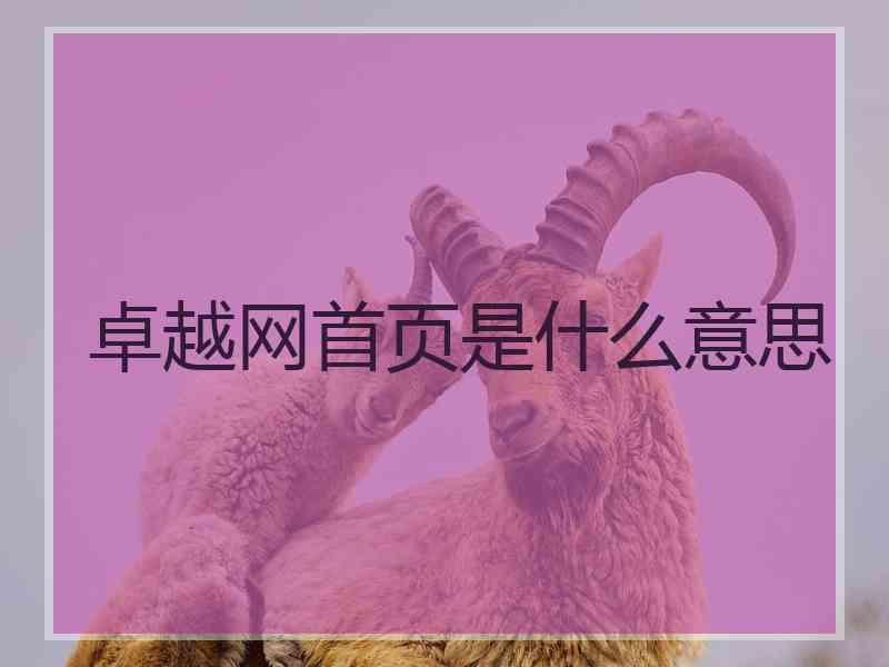 卓越网首页是什么意思