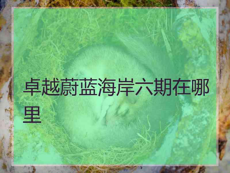 卓越蔚蓝海岸六期在哪里
