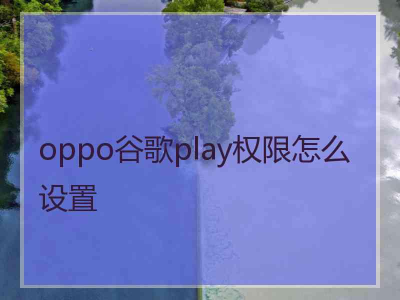 oppo谷歌play权限怎么设置