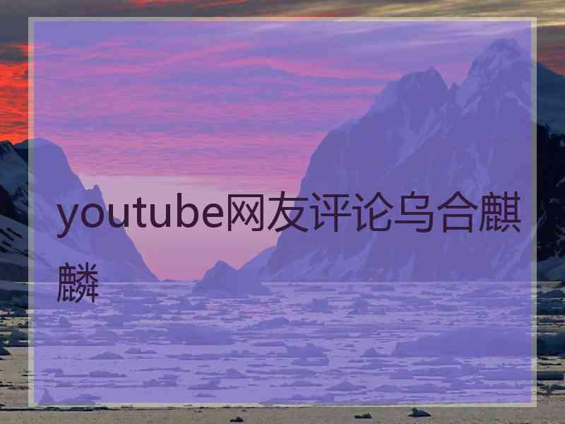 youtube网友评论乌合麒麟