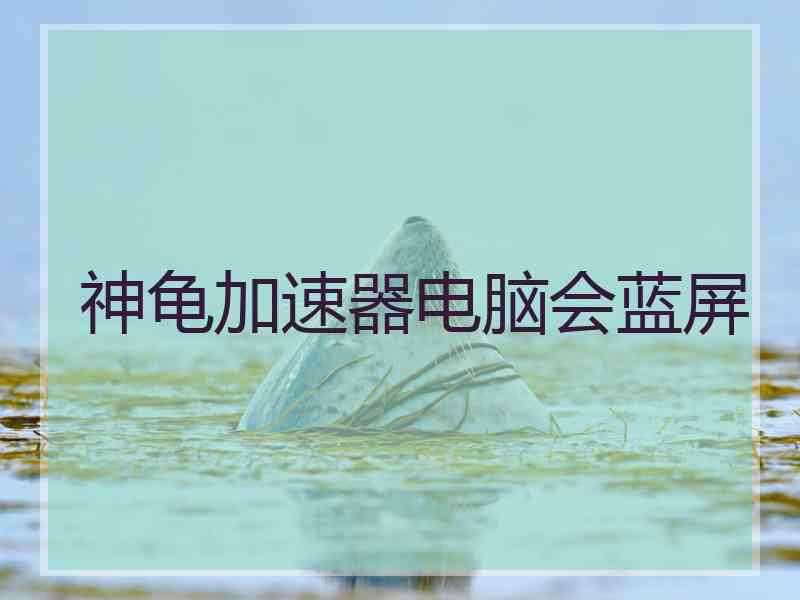 神龟加速器电脑会蓝屏