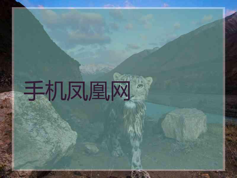 手机凤凰网