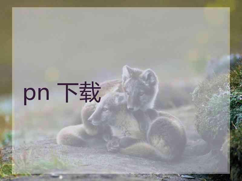 pn 下载