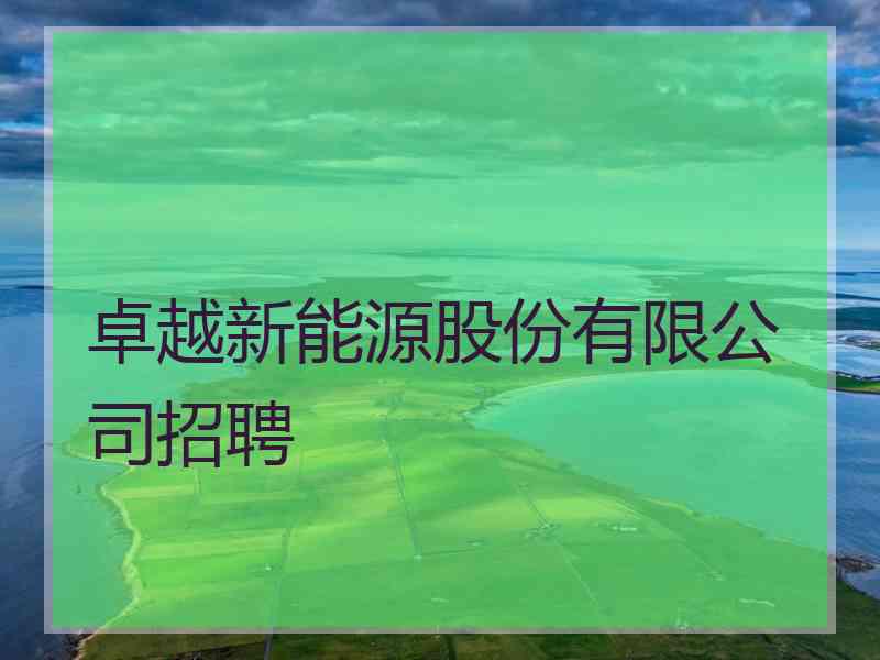 卓越新能源股份有限公司招聘