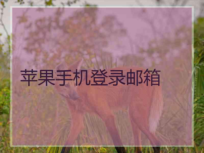 苹果手机登录邮箱