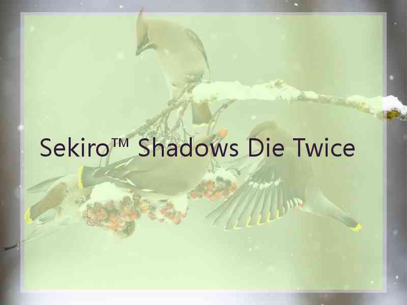Sekiro™ Shadows Die Twice