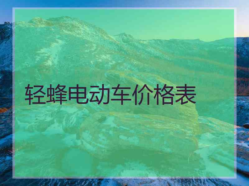 轻蜂电动车价格表