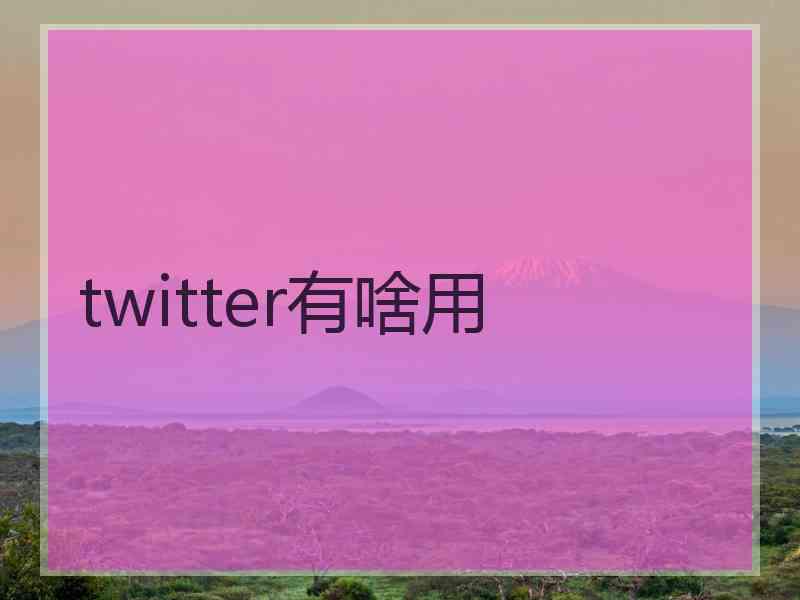 twitter有啥用