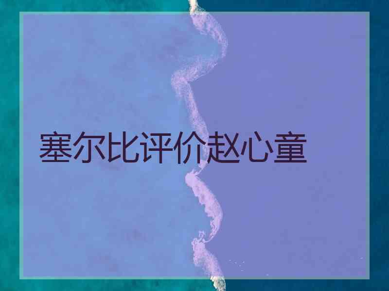 塞尔比评价赵心童