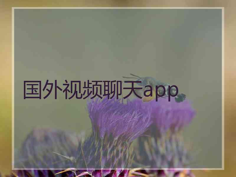 国外视频聊天app