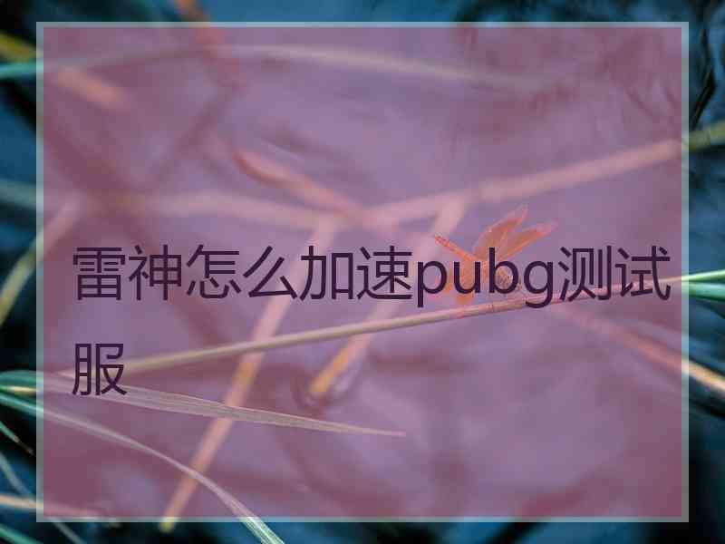 雷神怎么加速pubg测试服