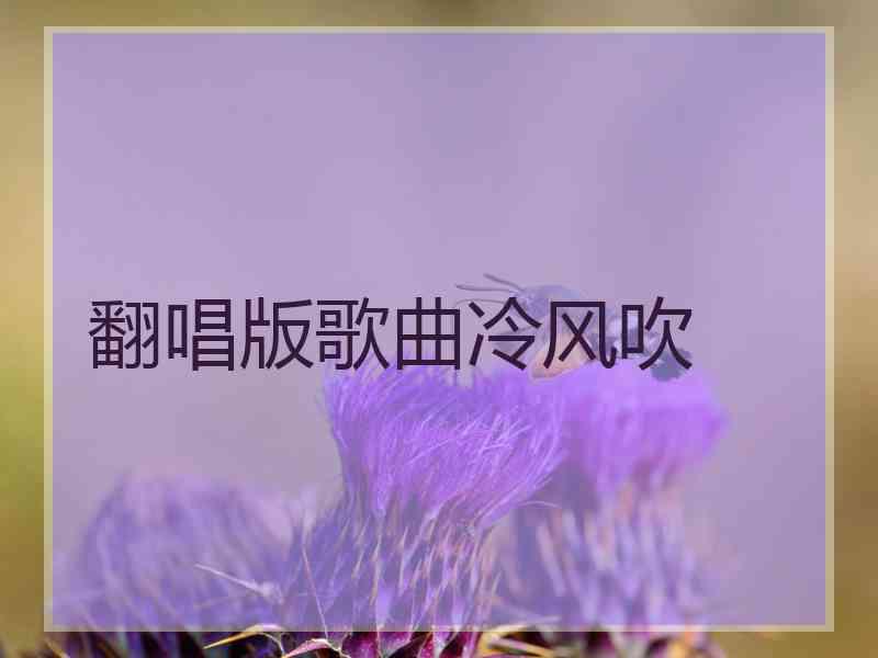 翻唱版歌曲冷风吹