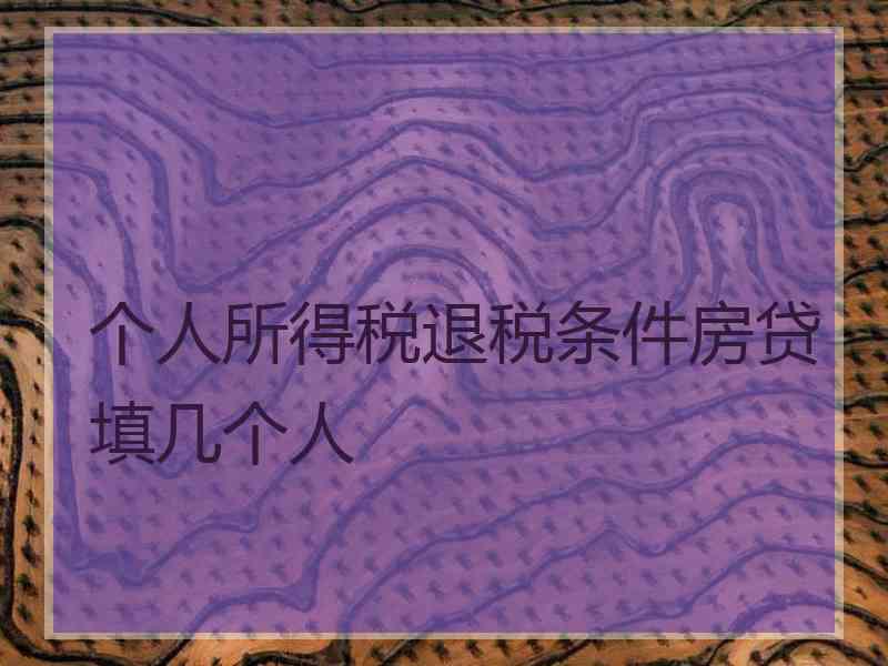个人所得税退税条件房贷填几个人