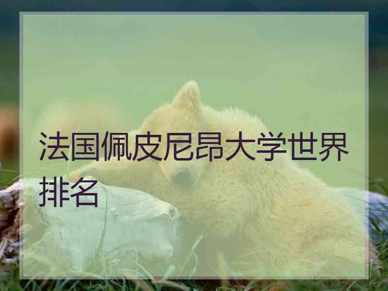 法国佩皮尼昂大学世界排名
